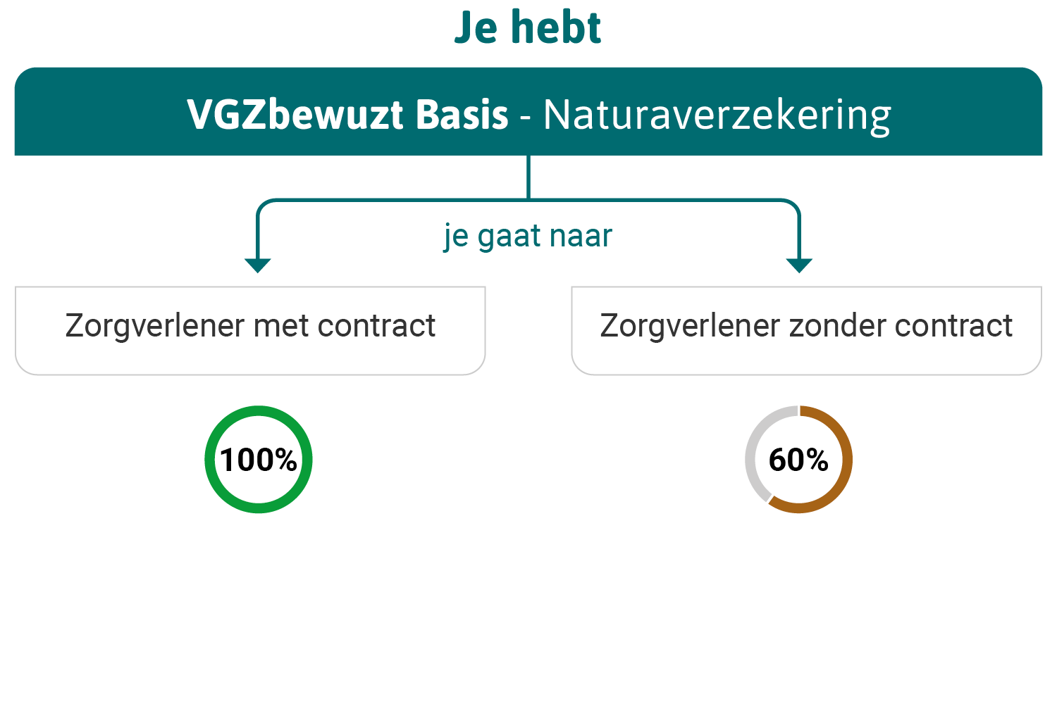 infographic VGZBewuzt Basis Naturaverzekering
